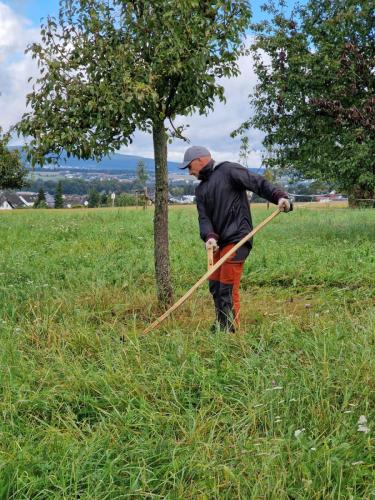 Arbeitseinsatz-CC-mit-IGS-Foto-Markus-Rester-2024-09-09-WA0012