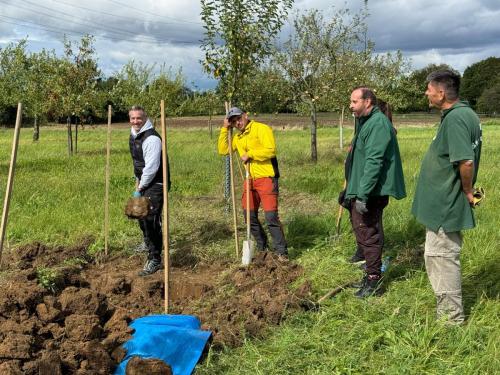 Arbeitseinsatz-CC-mit-IGS-Foto-Volker-Behrens-2024-09-09-WA0006